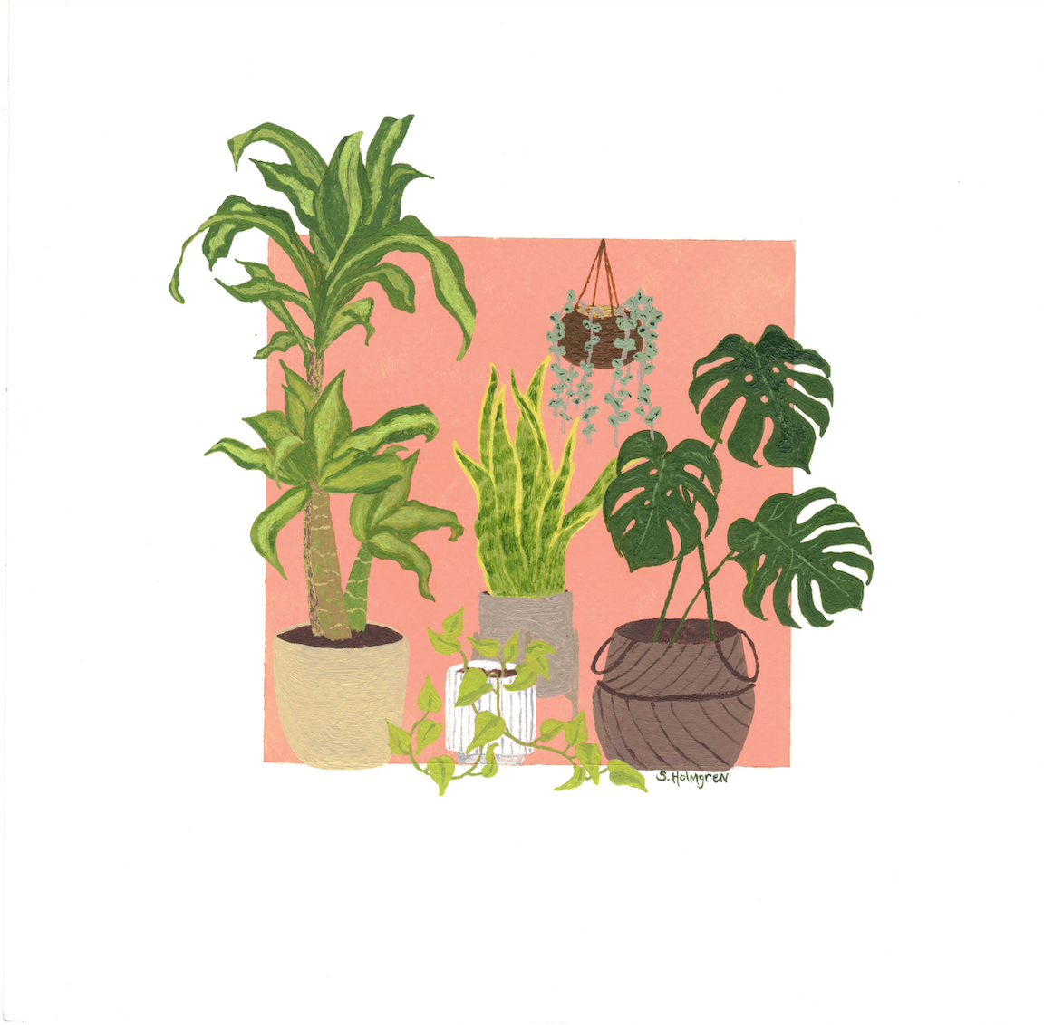 Plant House