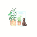 Cat and Plants