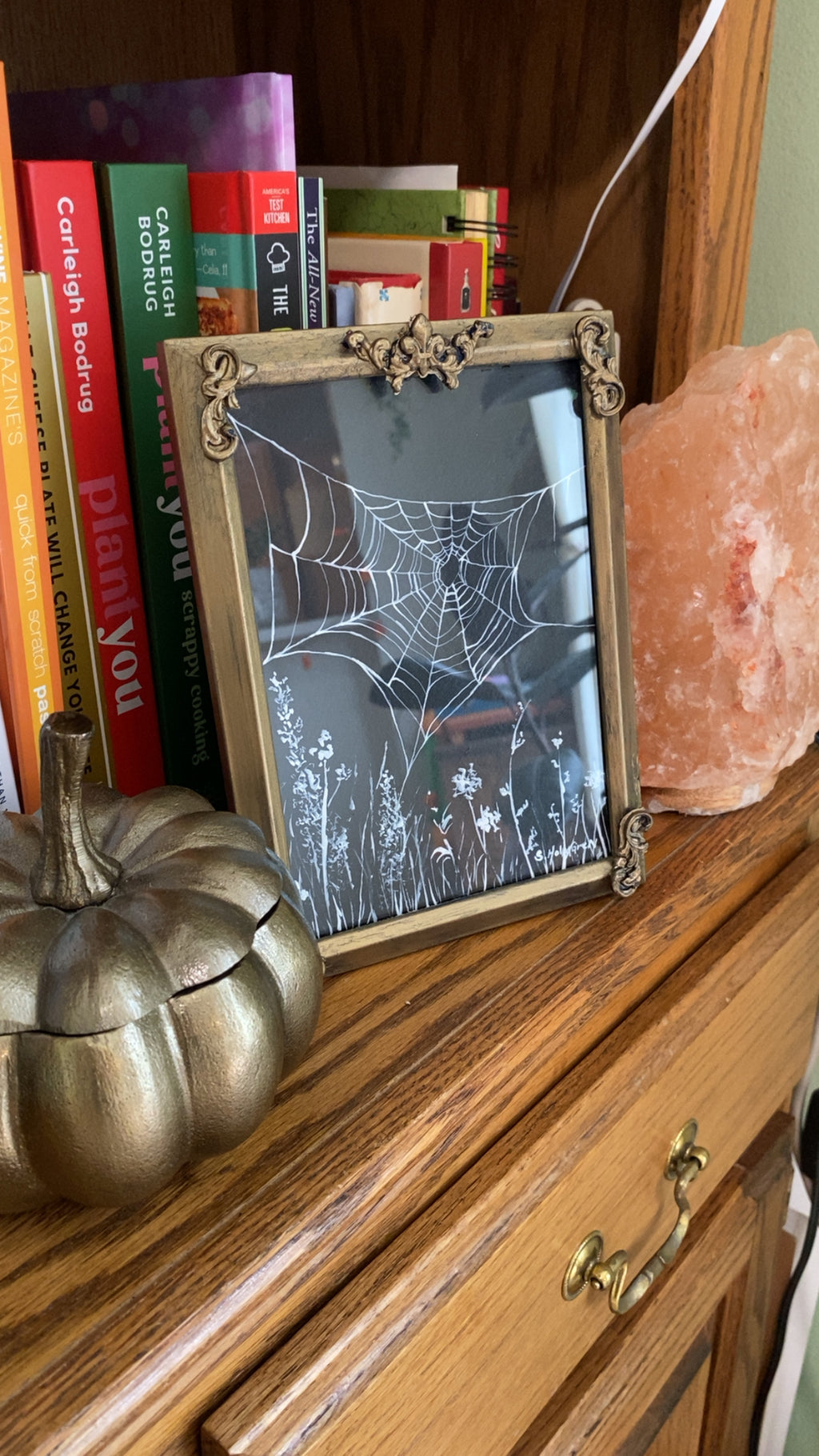 Moonlit Spiderweb