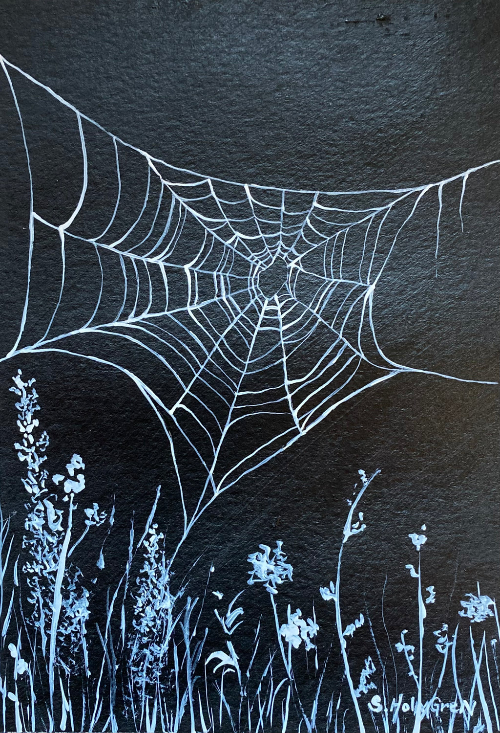 Moonlit Spiderweb