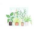 Plant House II