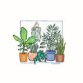 Plant House III