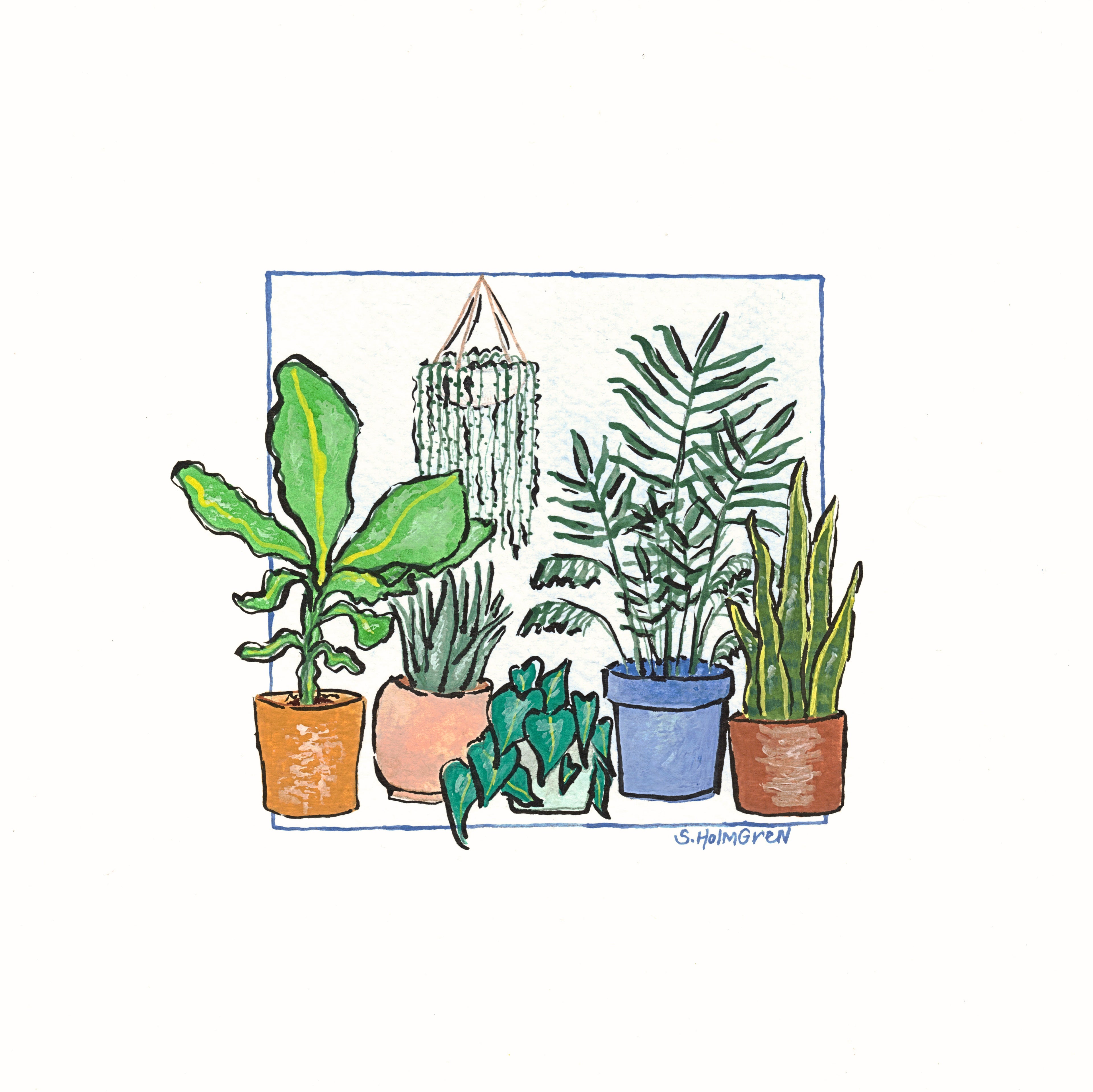 Plant House III