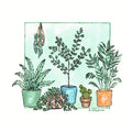 Plant House IV